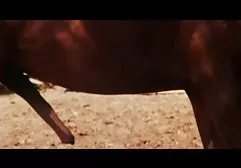 تازه کار, عکس سکسی کیر و کون کیر مصنوعی مهبل.